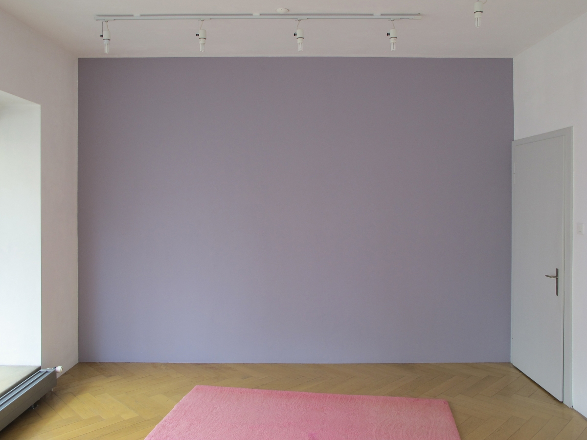 Nicole Hassler/Olivier Mosset, 2017