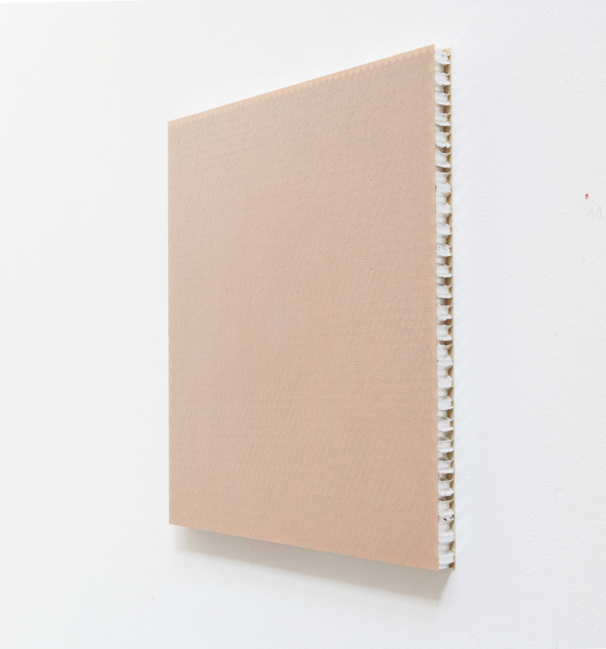 Fonds de teint, 1995-1996