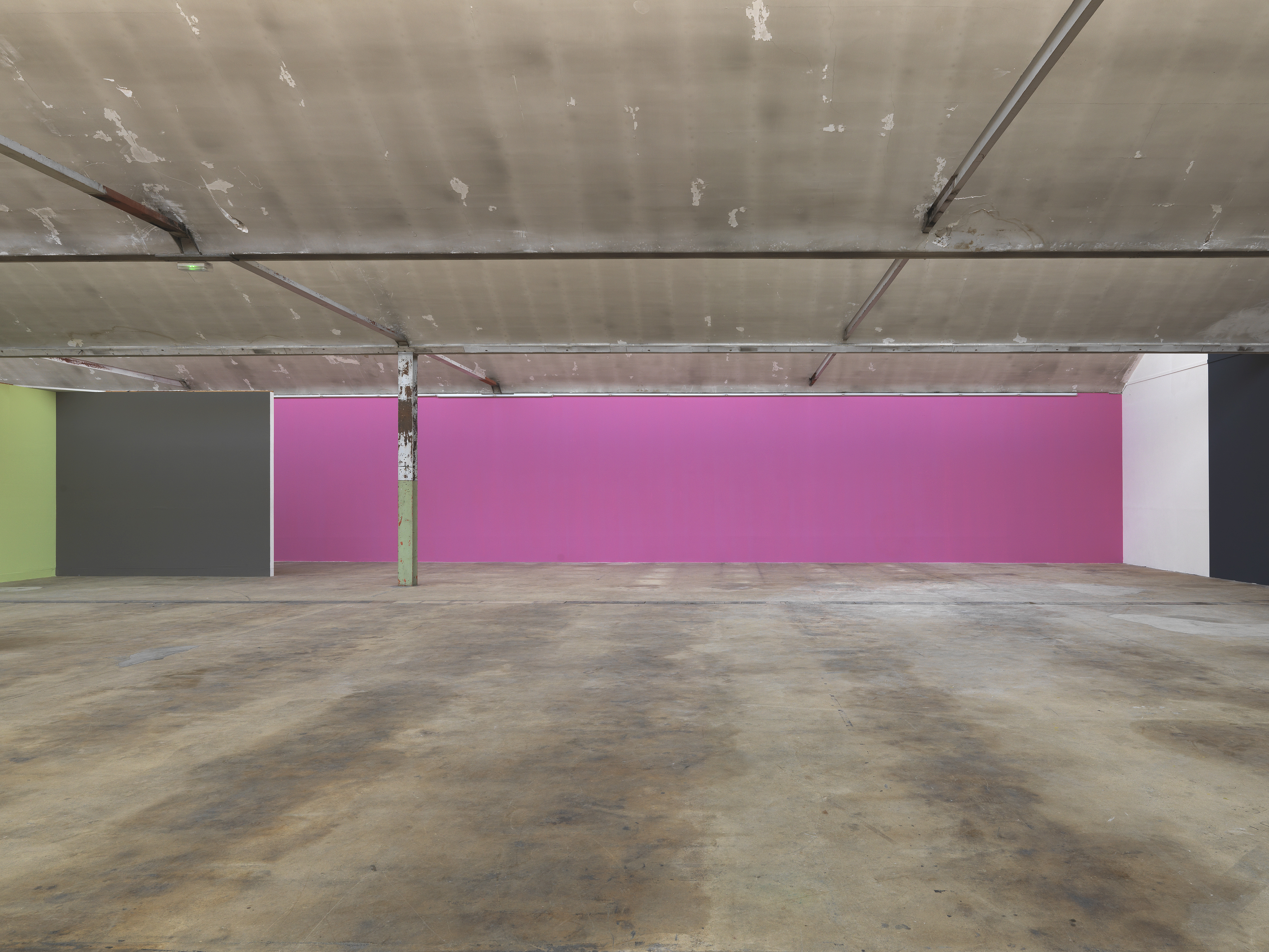 Around radical painting, 2019