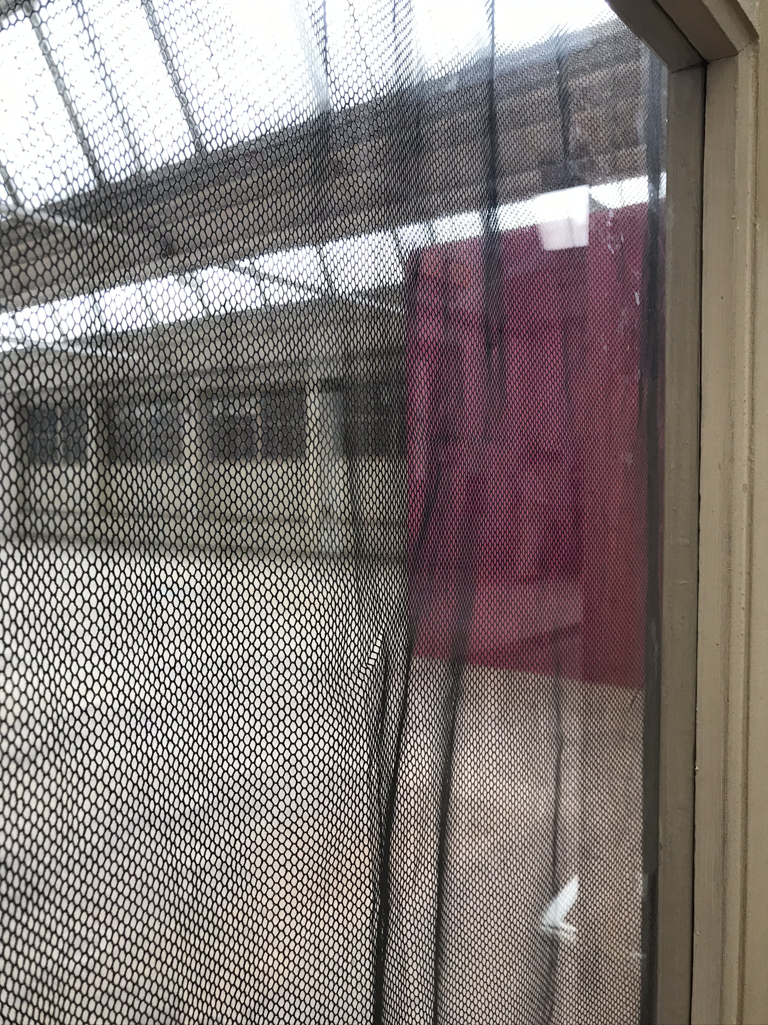 Around radical painting, 2019